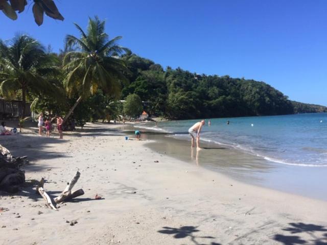 Bay View Martinique Leilighet Les Anses-d'Arlets Eksteriør bilde