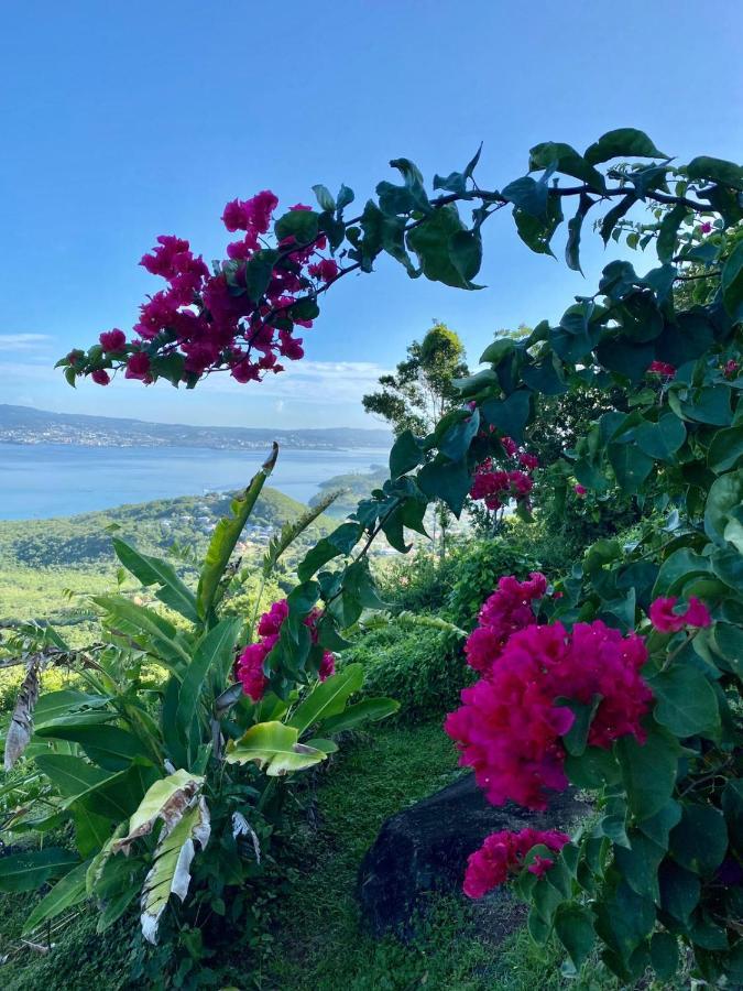 Bay View Martinique Leilighet Les Anses-d'Arlets Eksteriør bilde